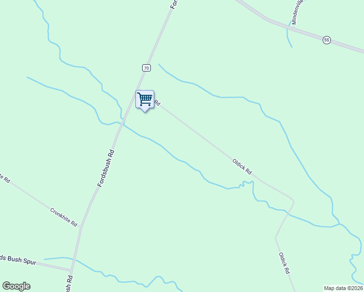 map of restaurants, bars, coffee shops, grocery stores, and more near 507 Oldick Road in Fort Plain