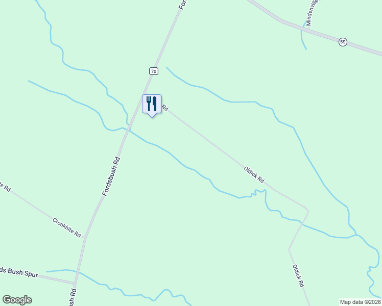 map of restaurants, bars, coffee shops, grocery stores, and more near 507 Oldick Road in Fort Plain