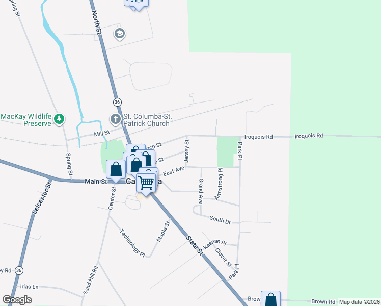 map of restaurants, bars, coffee shops, grocery stores, and more near 251 Jersey Street in Caledonia