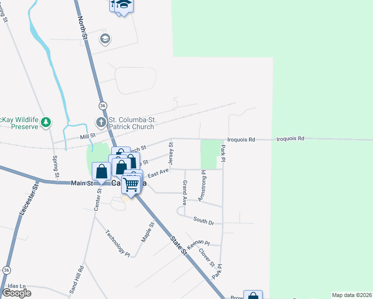 map of restaurants, bars, coffee shops, grocery stores, and more near 251 Jersey Street in Caledonia