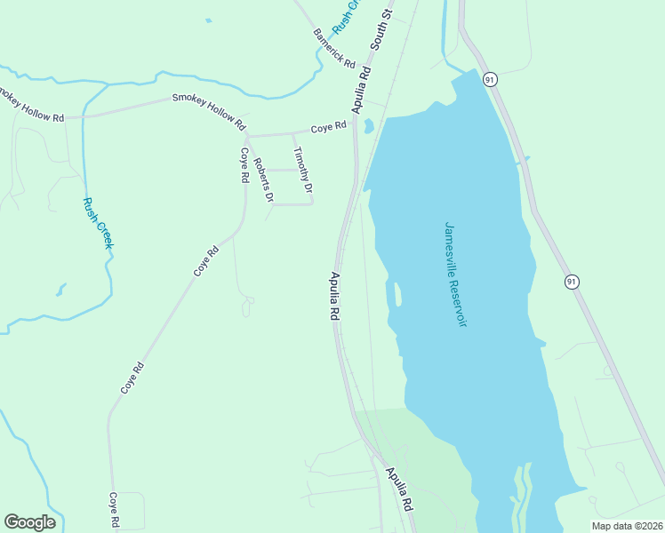 map of restaurants, bars, coffee shops, grocery stores, and more near 4205 West Shore Manor Road in Jamesville