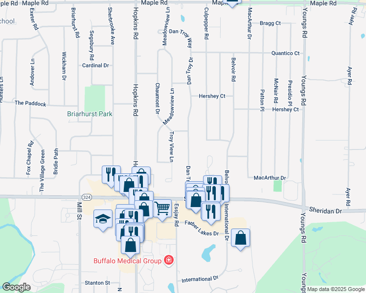 map of restaurants, bars, coffee shops, grocery stores, and more near 303 Dan Troy Drive in Buffalo