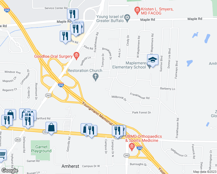 map of restaurants, bars, coffee shops, grocery stores, and more near 41 Millbrook Drive in Buffalo