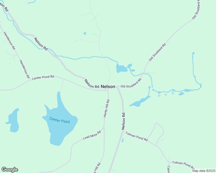 map of restaurants, bars, coffee shops, grocery stores, and more near in Nelson