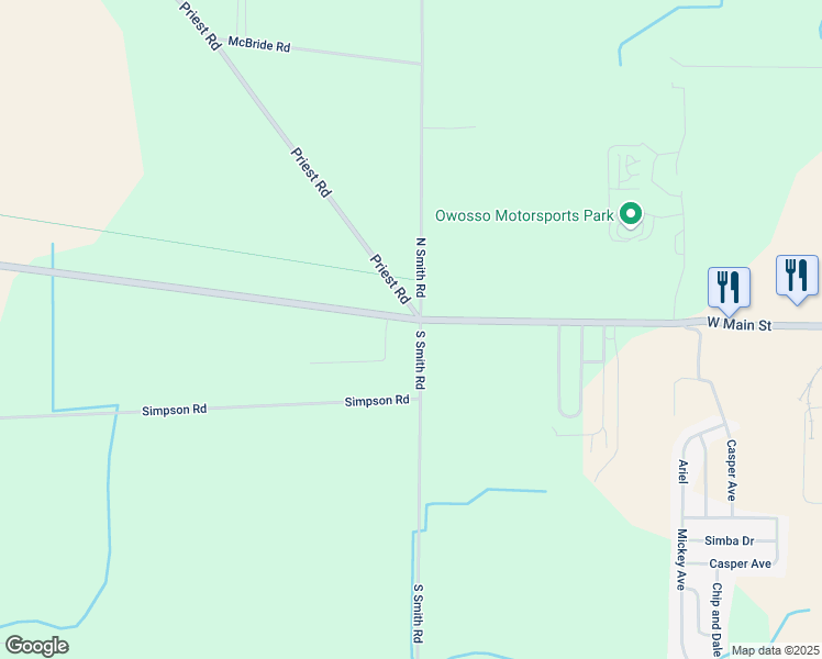 map of restaurants, bars, coffee shops, grocery stores, and more near 3007 West M 21 in Owosso