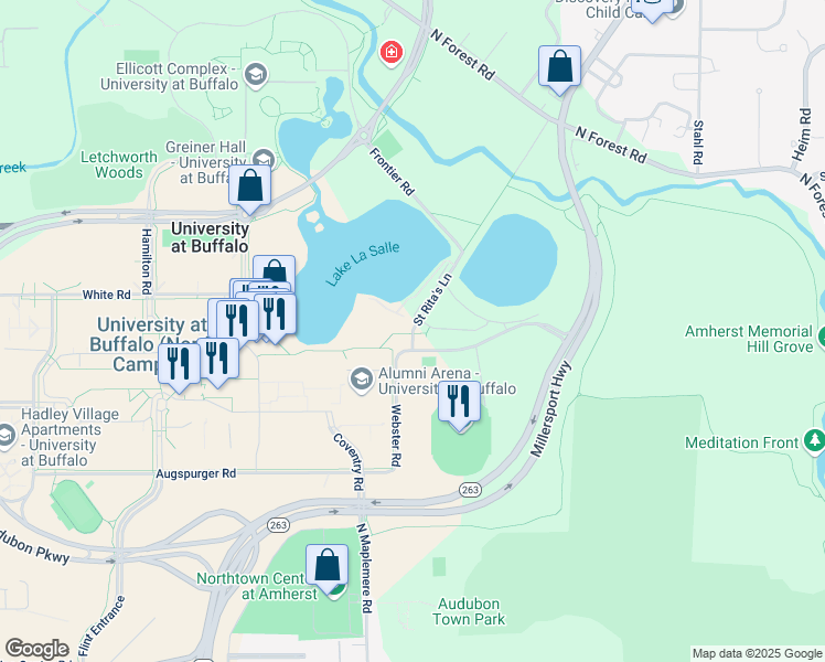 map of restaurants, bars, coffee shops, grocery stores, and more near Saint Rita's Lane in Buffalo