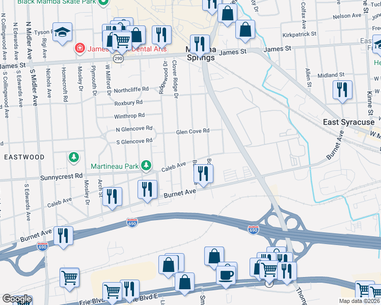 map of restaurants, bars, coffee shops, grocery stores, and more near 344 Burns Avenue in Syracuse