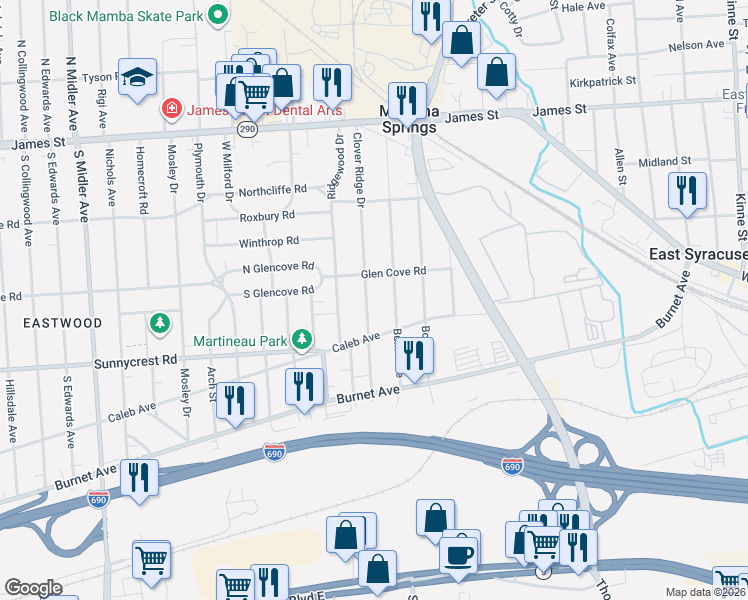 map of restaurants, bars, coffee shops, grocery stores, and more near 344 Burns Avenue in Syracuse