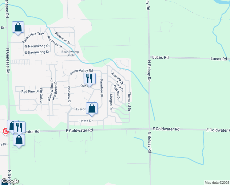 map of restaurants, bars, coffee shops, grocery stores, and more near 736 Morgan Drive in Flint