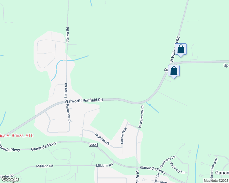 map of restaurants, bars, coffee shops, grocery stores, and more near 447 New York 441 in Walworth