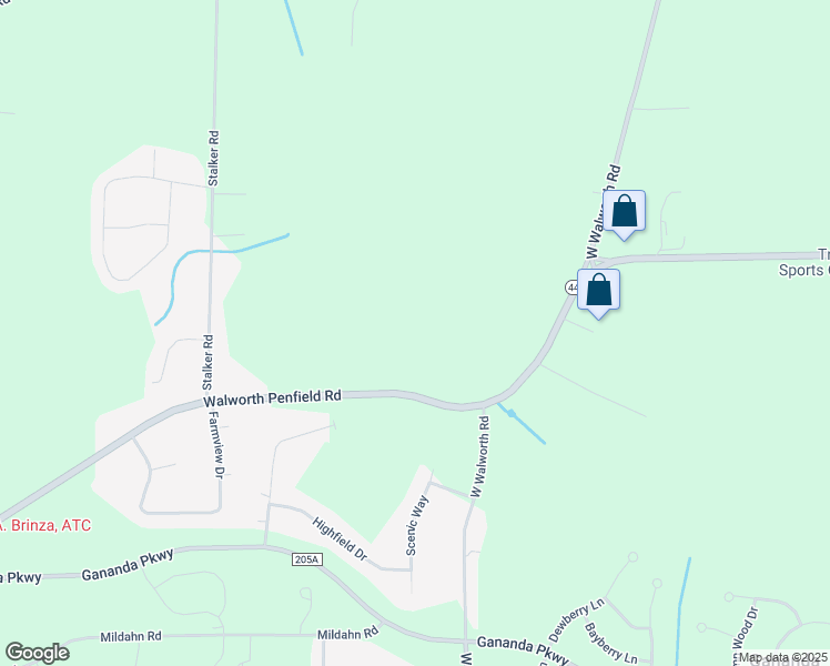 429 Route 441, Walworth NY Walk Score