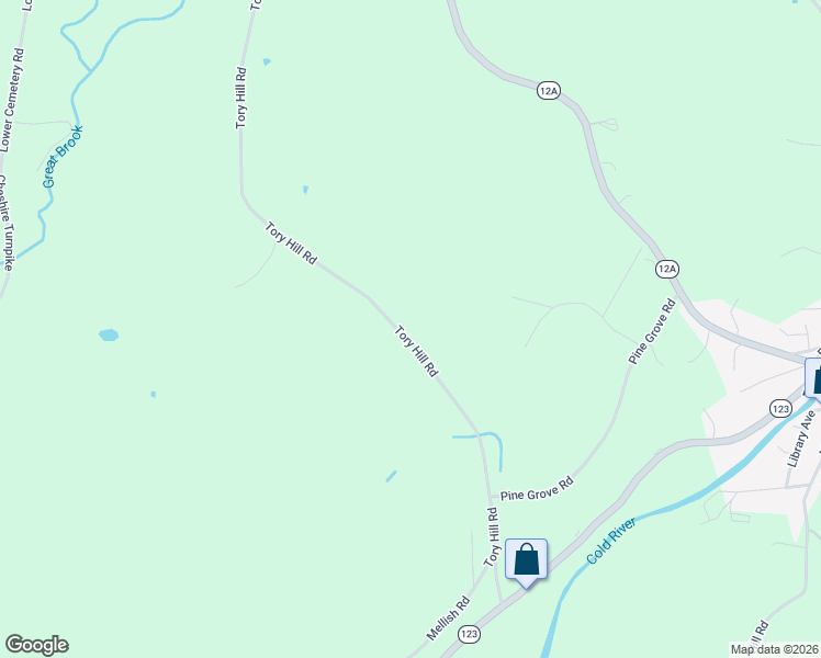 map of restaurants, bars, coffee shops, grocery stores, and more near 257 Tory Hill Road in Langdon