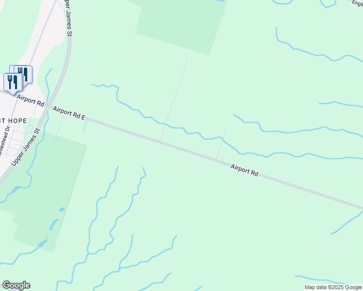 map of restaurants, bars, coffee shops, grocery stores, and more near 8184 Airport Road East in Hamilton