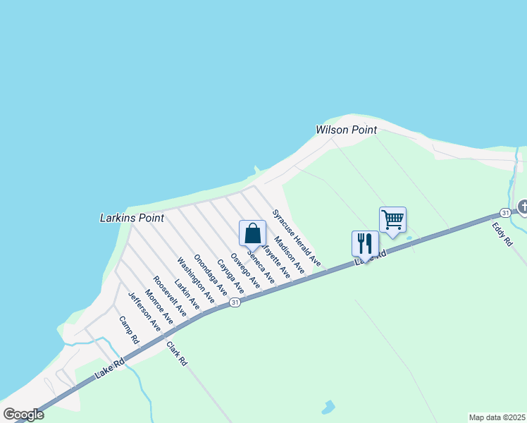 map of restaurants, bars, coffee shops, grocery stores, and more near 142 Syracuse Herald Avenue in Canastota