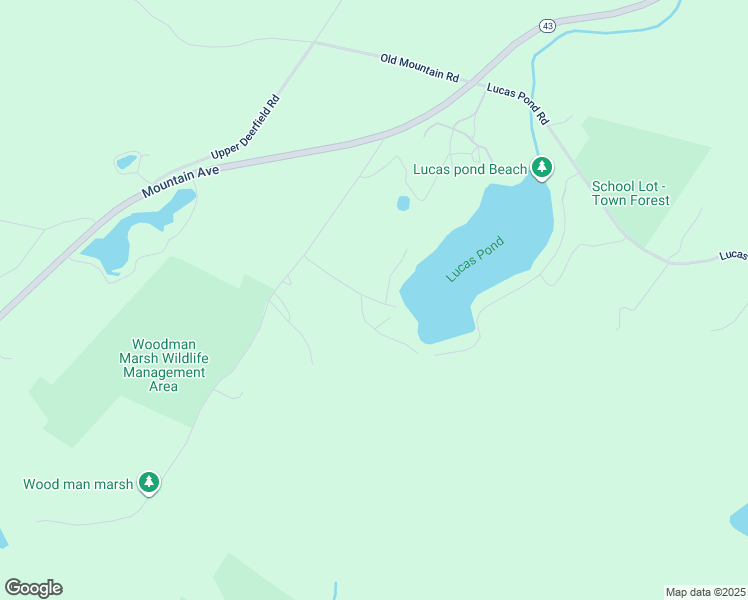 map of restaurants, bars, coffee shops, grocery stores, and more near 13 Big Buck Road in Northwood