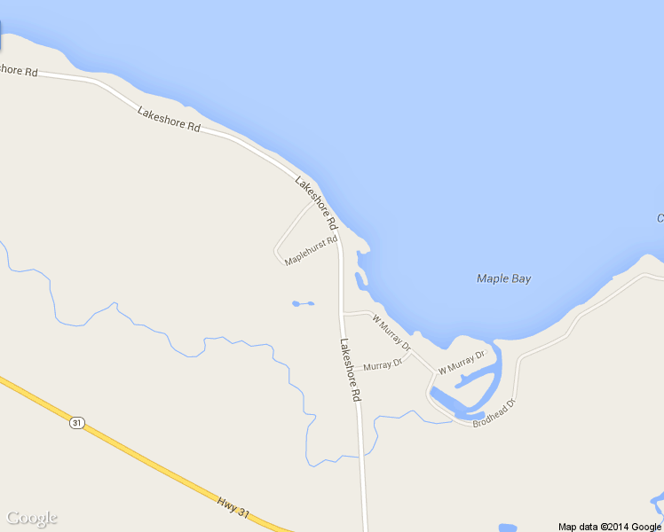 map of restaurants, bars, coffee shops, grocery stores, and more near 8529 Lakeshore Rd in Cicero