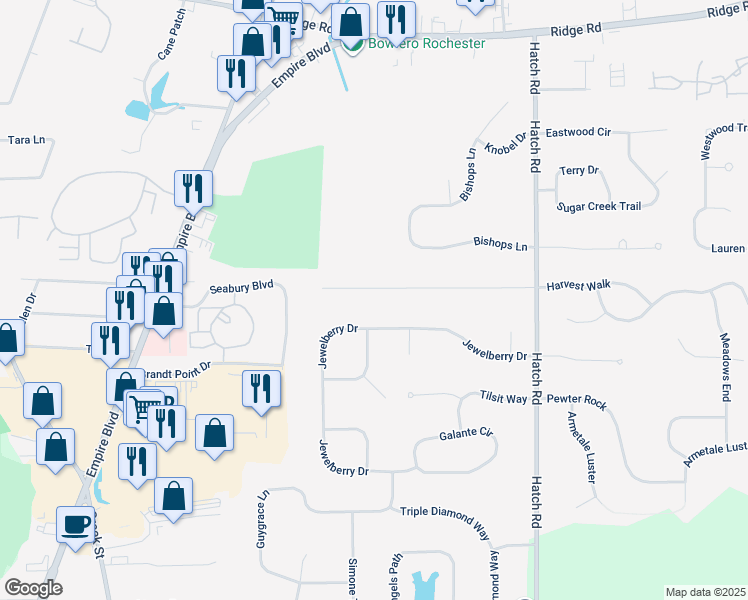 map of restaurants, bars, coffee shops, grocery stores, and more near 138 Anytrell Dr in Webster
