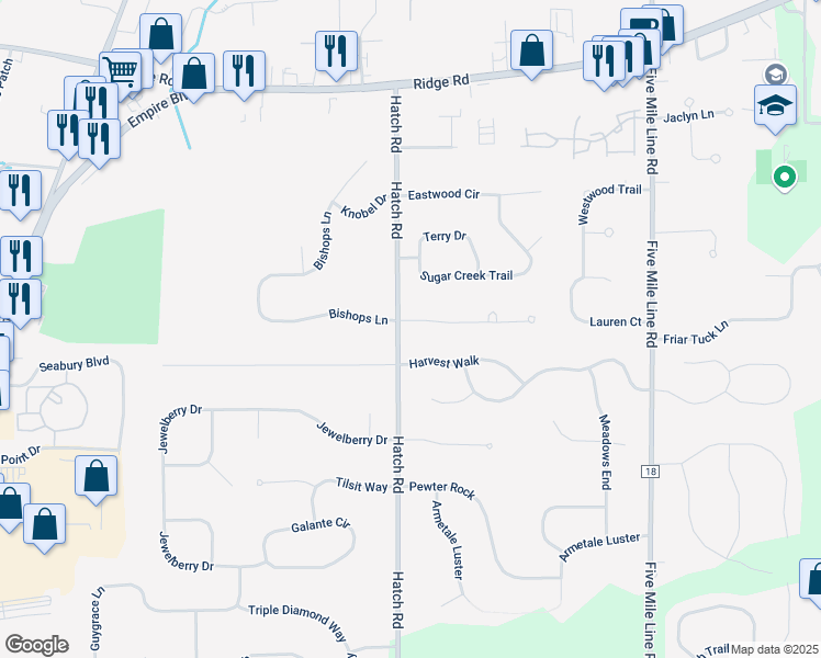 map of restaurants, bars, coffee shops, grocery stores, and more near 1156 Hatch Road in Webster