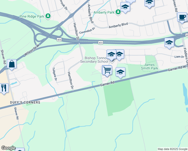 map of restaurants, bars, coffee shops, grocery stores, and more near 305 Garner Road West in Hamilton