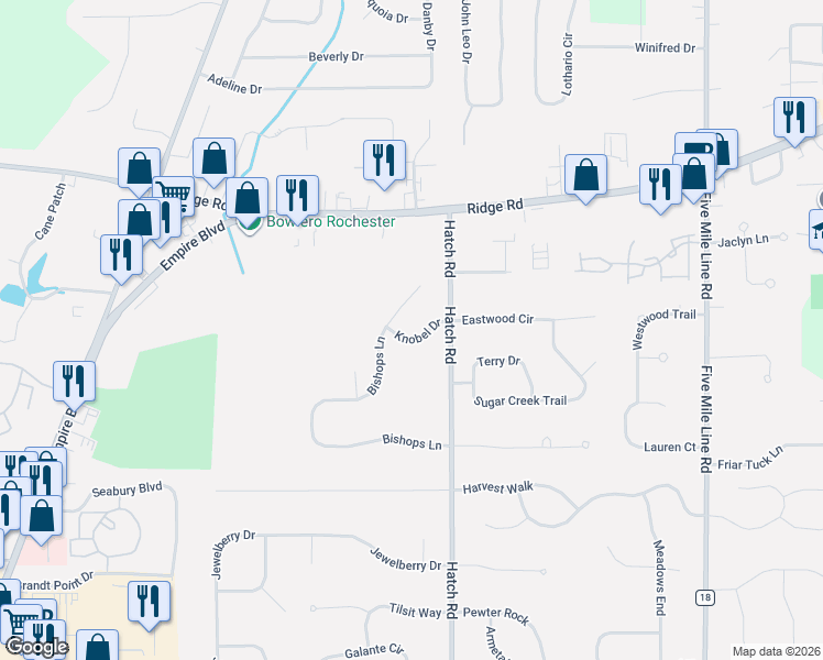 map of restaurants, bars, coffee shops, grocery stores, and more near 717 Knobel Drive in Webster