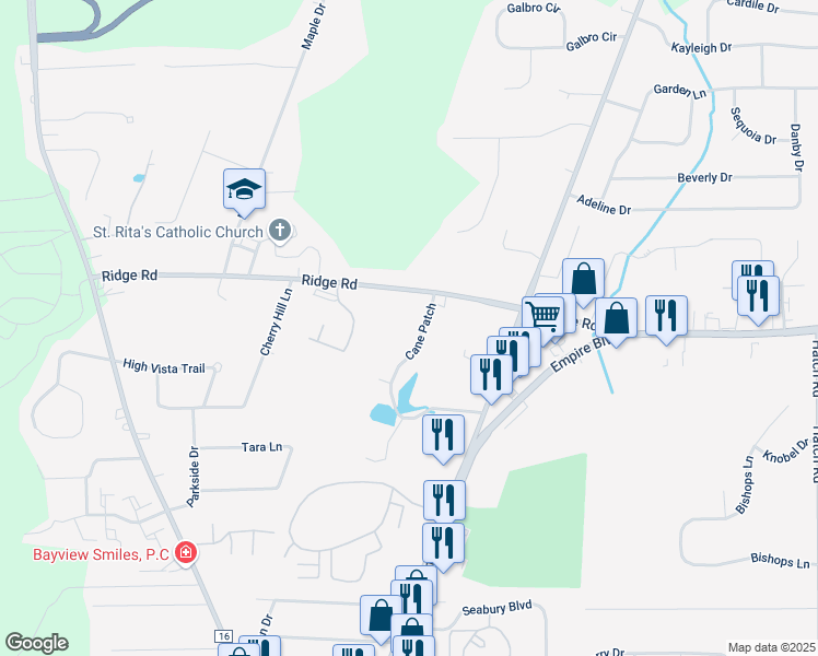 map of restaurants, bars, coffee shops, grocery stores, and more near 987 Cane Patch in Webster