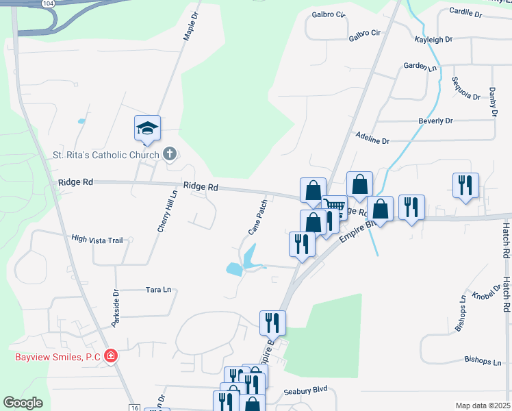 map of restaurants, bars, coffee shops, grocery stores, and more near 987 Cane Patch in Webster