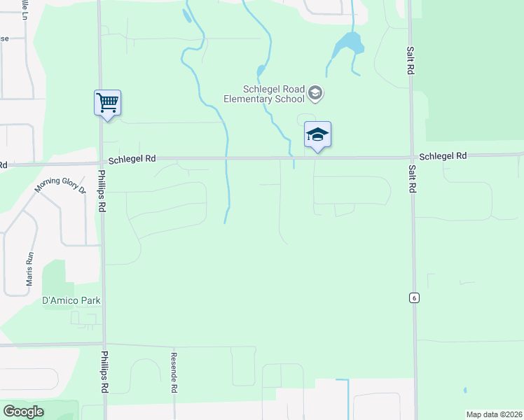 map of restaurants, bars, coffee shops, grocery stores, and more near 522 Hackberry Way in Webster