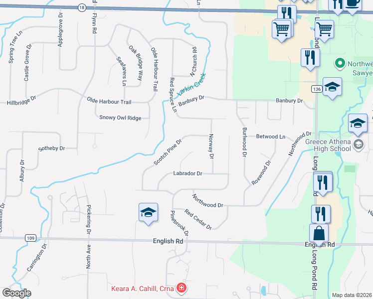 map of restaurants, bars, coffee shops, grocery stores, and more near 49 Scotch Pine Drive in Rochester