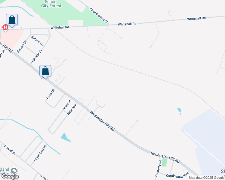 map of restaurants, bars, coffee shops, grocery stores, and more near 20 Cortland Street in Rochester