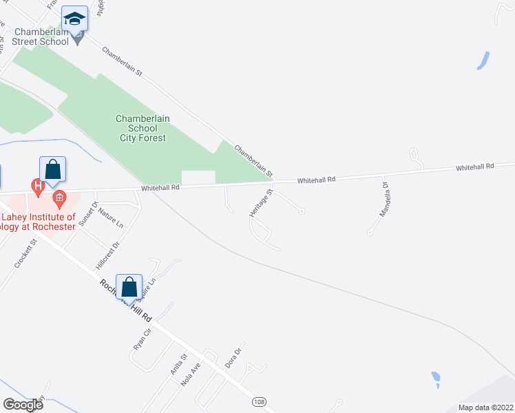 map of restaurants, bars, coffee shops, grocery stores, and more near Heritage Street in Rochester