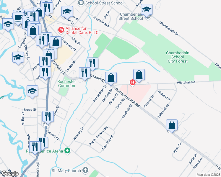 map of restaurants, bars, coffee shops, grocery stores, and more near 1 Harding Street in Rochester