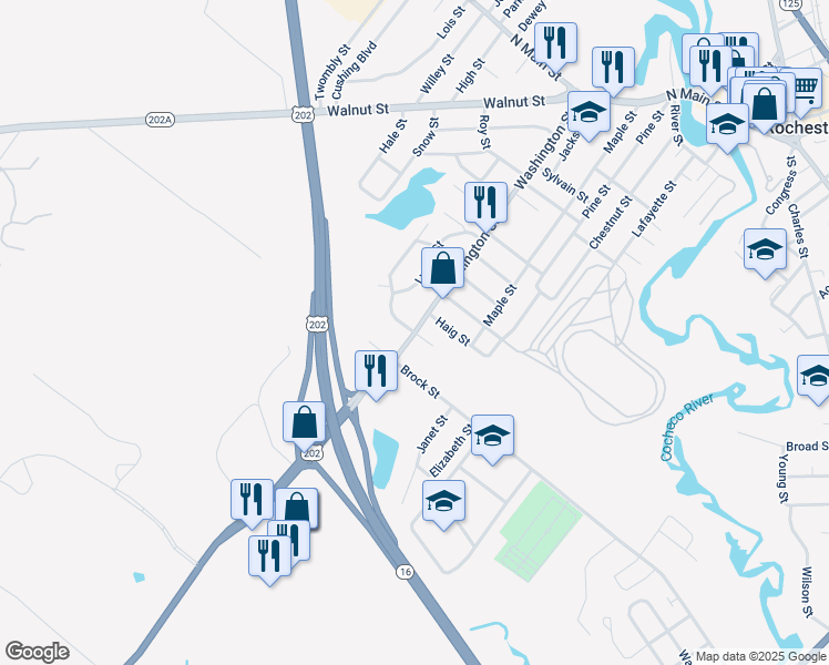 map of restaurants, bars, coffee shops, grocery stores, and more near 109 Washington St in Rochester