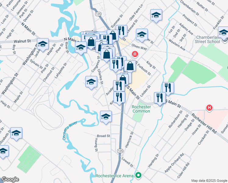 map of restaurants, bars, coffee shops, grocery stores, and more near 16 Academy Street in Rochester