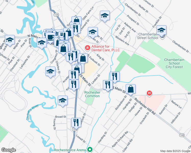 map of restaurants, bars, coffee shops, grocery stores, and more near 20 Linden Street in Rochester