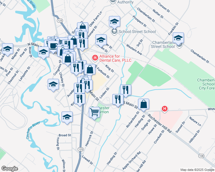map of restaurants, bars, coffee shops, grocery stores, and more near 20 Linden Street in Rochester