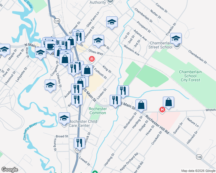 map of restaurants, bars, coffee shops, grocery stores, and more near 29 Linden Street in Rochester
