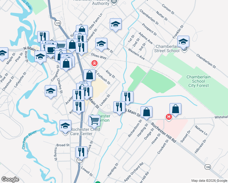 map of restaurants, bars, coffee shops, grocery stores, and more near 29 Linden Street in Rochester