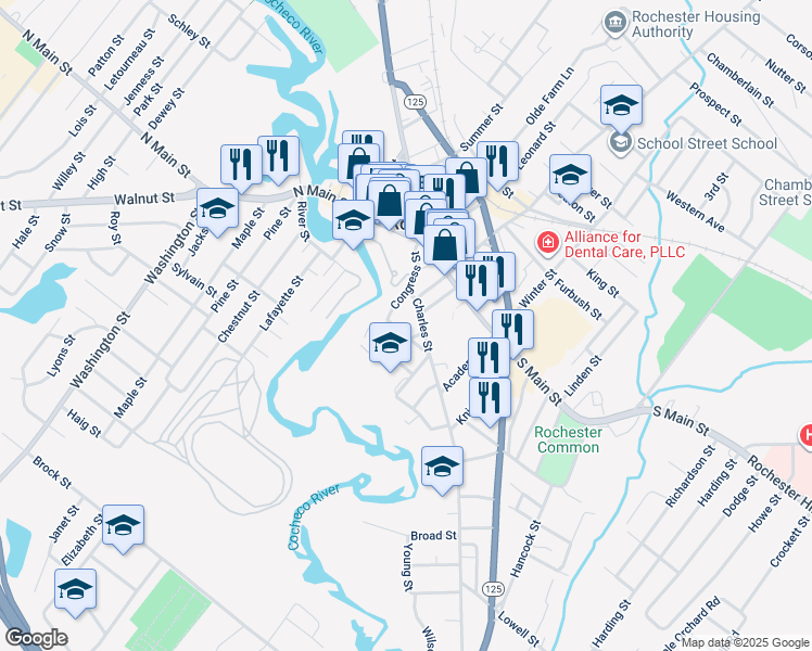 map of restaurants, bars, coffee shops, grocery stores, and more near 48 Congress Street in Rochester