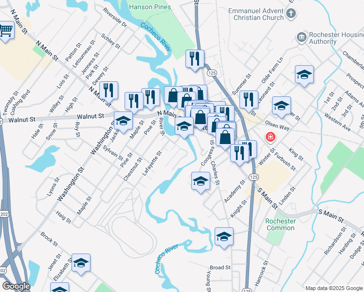 map of restaurants, bars, coffee shops, grocery stores, and more near 16 Bridge Street in Rochester
