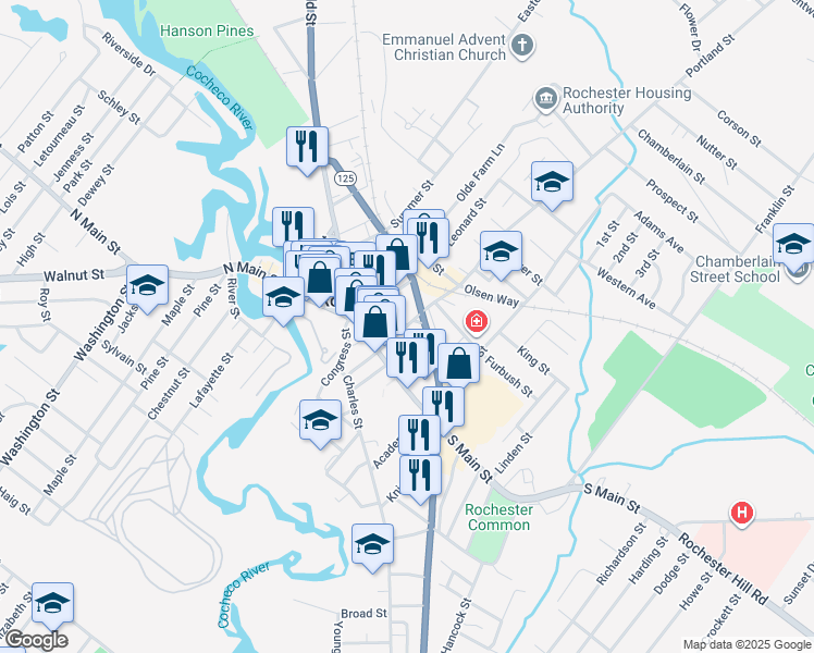 map of restaurants, bars, coffee shops, grocery stores, and more near 135 Portland Street in Rochester