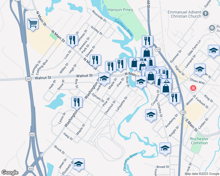 map of restaurants, bars, coffee shops, grocery stores, and more near 43 Pine Street in Rochester
