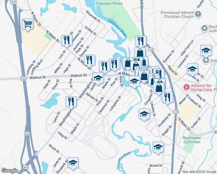map of restaurants, bars, coffee shops, grocery stores, and more near 43 Pine Street in Rochester