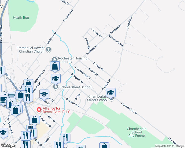 map of restaurants, bars, coffee shops, grocery stores, and more near 36 Chamberlain Street in Rochester