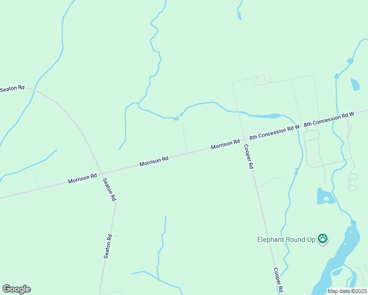 map of restaurants, bars, coffee shops, grocery stores, and more near 2636 Morrison Road in Cambridge