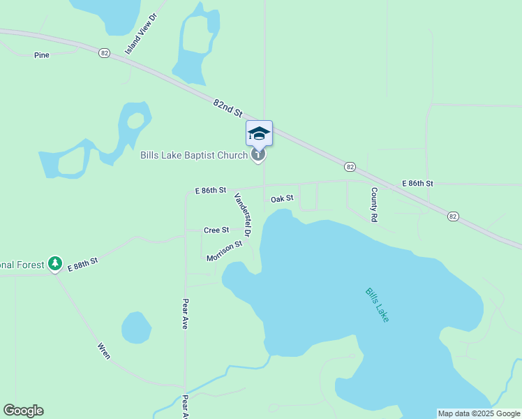 map of restaurants, bars, coffee shops, grocery stores, and more near 8667 Swan Avenue in Newaygo