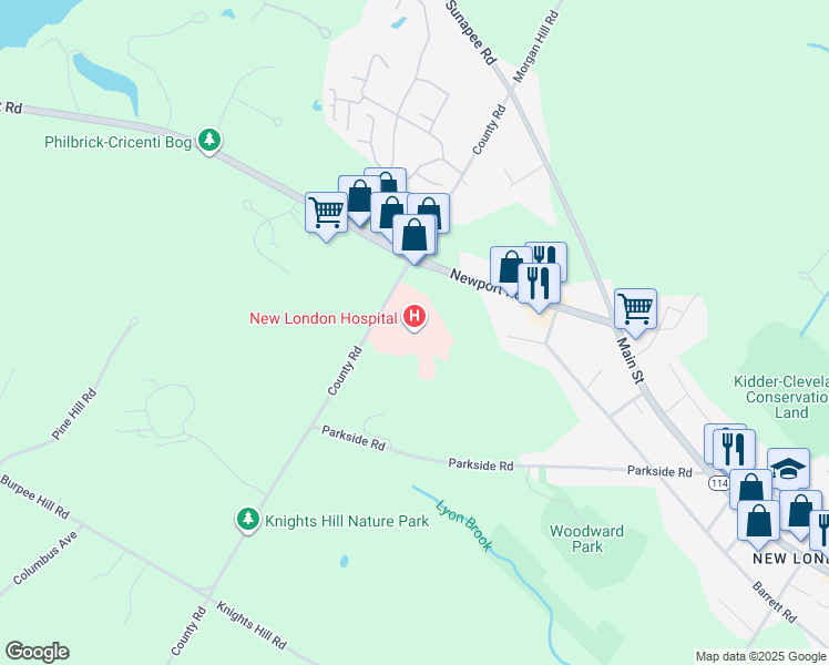 map of restaurants, bars, coffee shops, grocery stores, and more near 273 County Road in New London