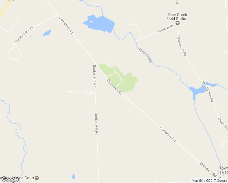 map of restaurants, bars, coffee shops, grocery stores, and more near 205 Cemetery Road in Oswego