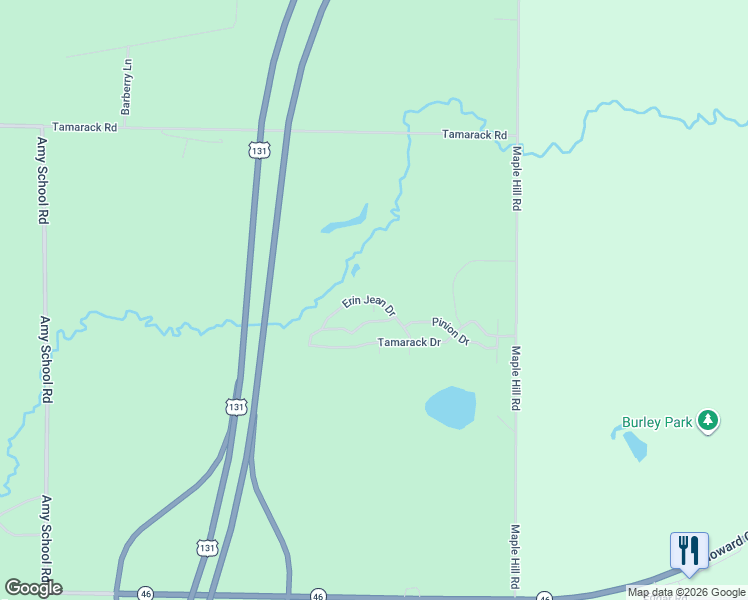 map of restaurants, bars, coffee shops, grocery stores, and more near 9500 Erin Jean Drive in Howard City