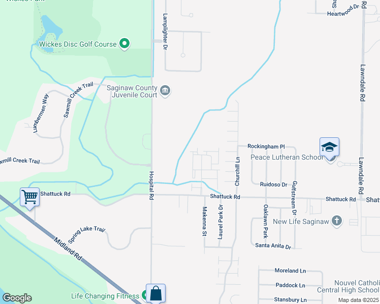 map of restaurants, bars, coffee shops, grocery stores, and more near 199 Enderly Lane in Saginaw