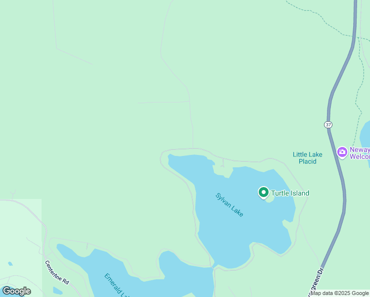 map of restaurants, bars, coffee shops, grocery stores, and more near 4643 Sylvan Drive in Newaygo